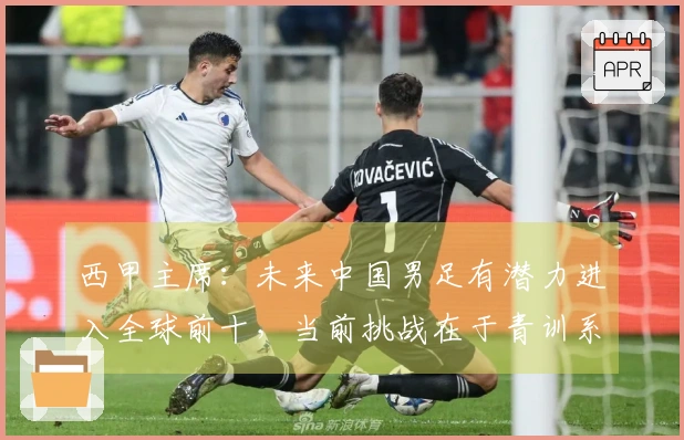 西甲主席：未来中国男足有潜力进入全球前十，当前挑战在于青训系统竞争力不足