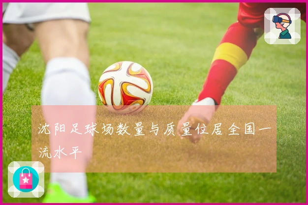 沈阳足球场数量与质量位居全国一流水平