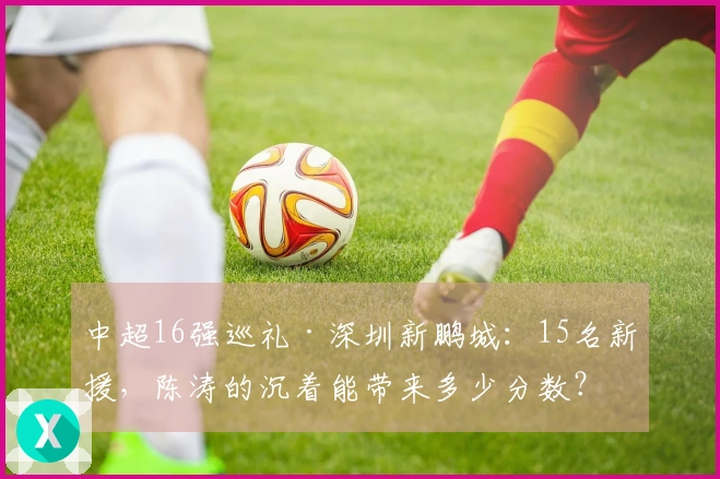 中超16强巡礼·深圳新鹏城：15名新援，陈涛的沉着能带来多少分数？