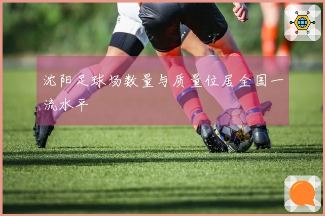 沈阳足球场数量与质量位居全国一流水平