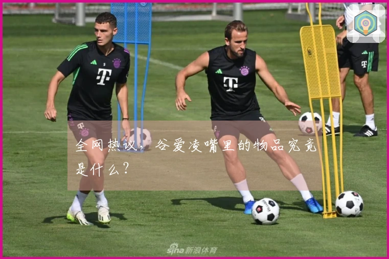 全网热议，谷爱凌嘴里的物品究竟是什么？